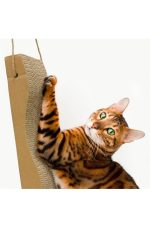 RASCADOR CARTON FORMA OLA.(46x12x5cm.) - Imagen 2