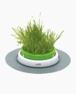 Germinador de Hierba Gatera Catit Senses - Imagen 2