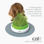 Germinador de Hierba Gatera Catit Senses - Imagen 3