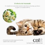 Mezcla de Catnip y Matatabi secos para gatos Catit - Imagen 3