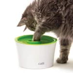Comedero antivoracidad para gatos Catit Multi Feeder - Imagen 2