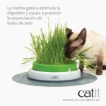 Kit de hierba Cat Grass Kit Catit - Imagen 3